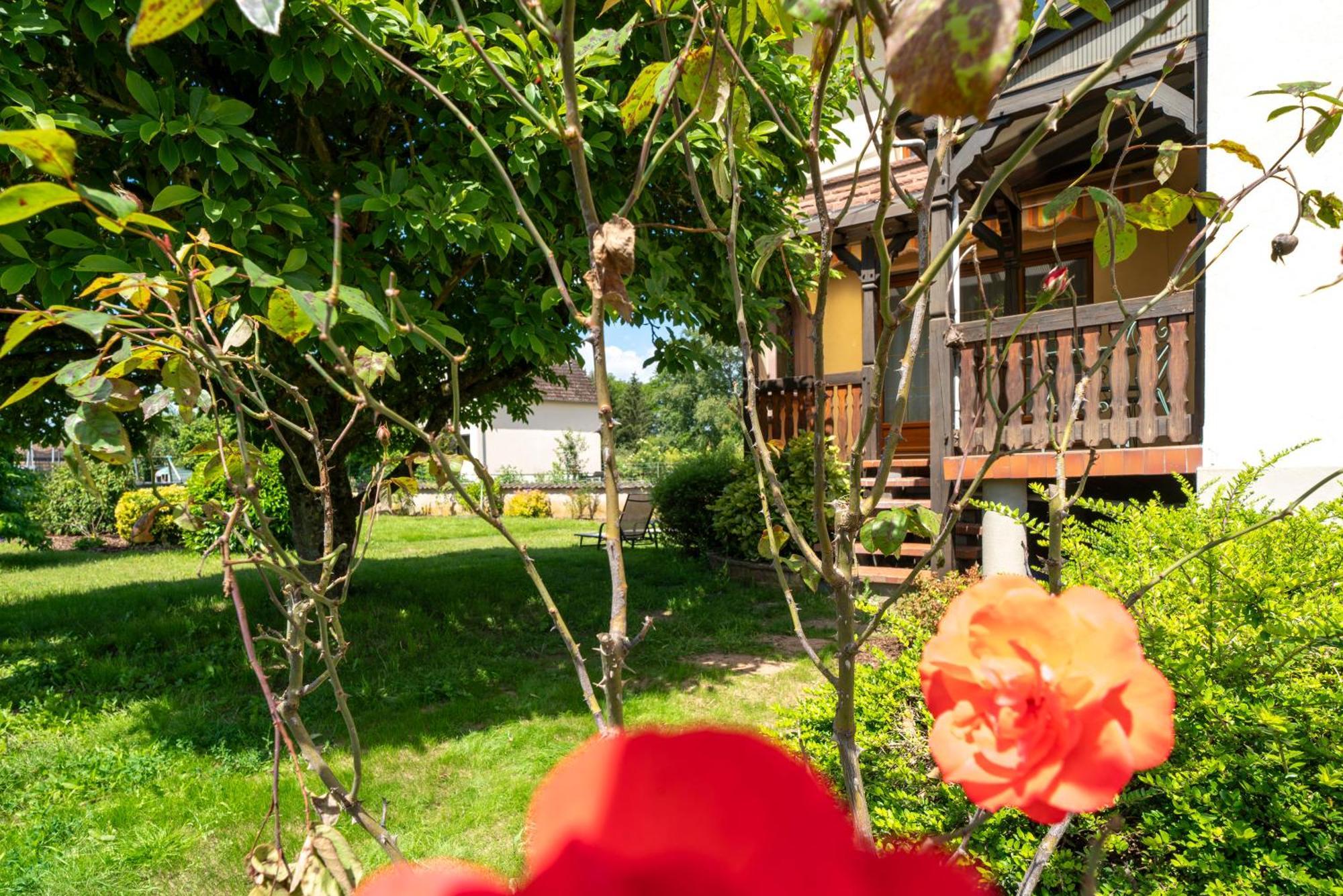 Bed and Breakfast La Clef Des Songes Merzmuhler Exterior foto